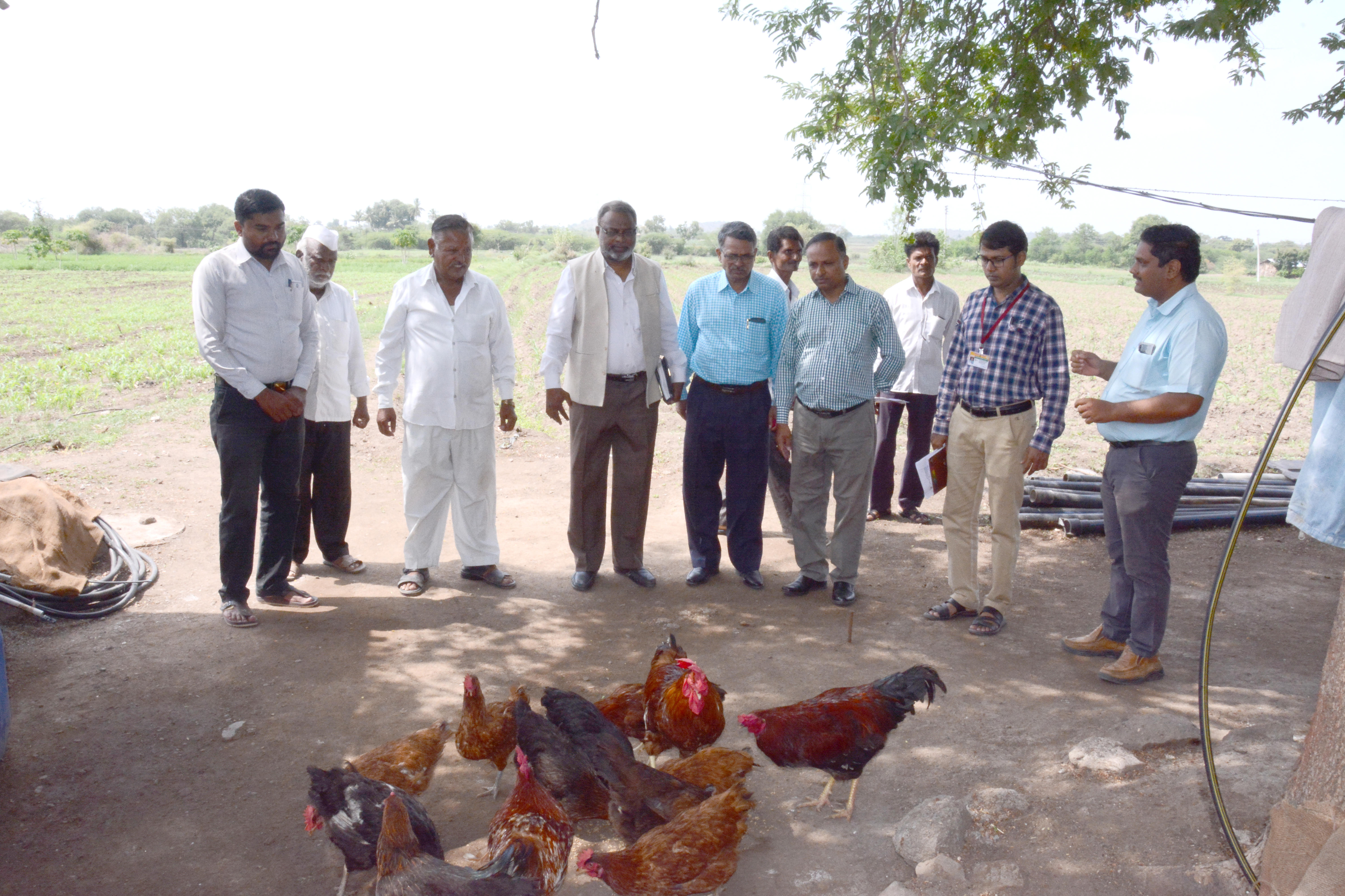 Visit of DOR to ICAR Farmer FIRST village
